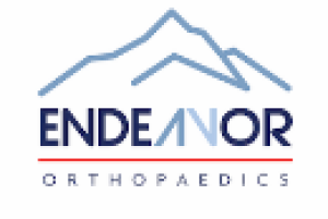 Endeavor Orthopaedics