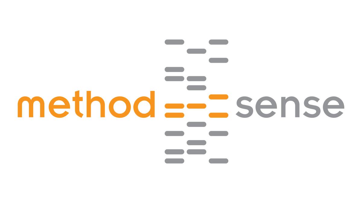 MethodSense