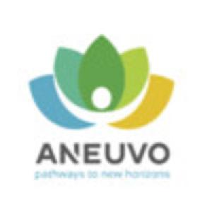 Aneuvo